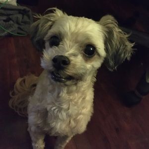 Meet your Posher, Liam